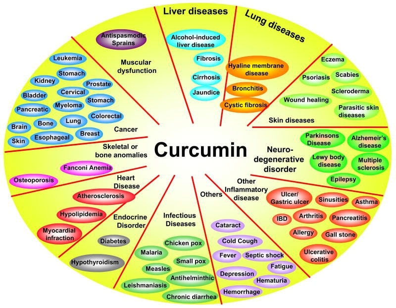 Trying to capitalize on the Power of Curcumin?