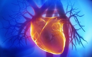 Next Generation Antioxidants: STOP the “Cardiac Killer”